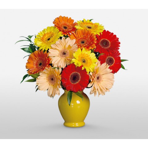 Sunshine Fresh Delight